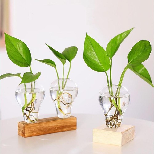 Glass tube vase wooden - glass,