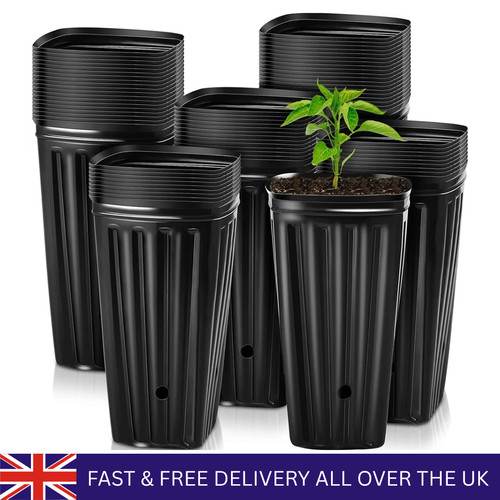 Tall square nursery - square, pots