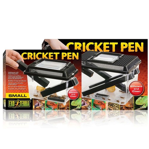 Exo terra reptile food - reptile, cricket