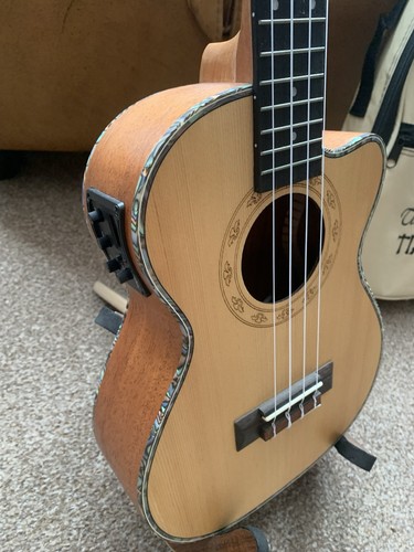 New freshman concert - concert, ukulele