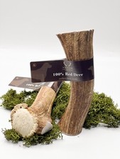 LARGE Antler Dog Chews by