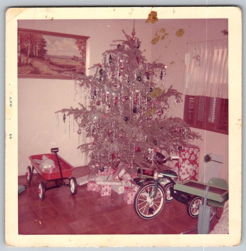 Vtg color snapshot tinsel - snapshot,