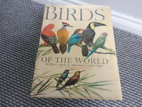 Vintage birds the world - birds, of