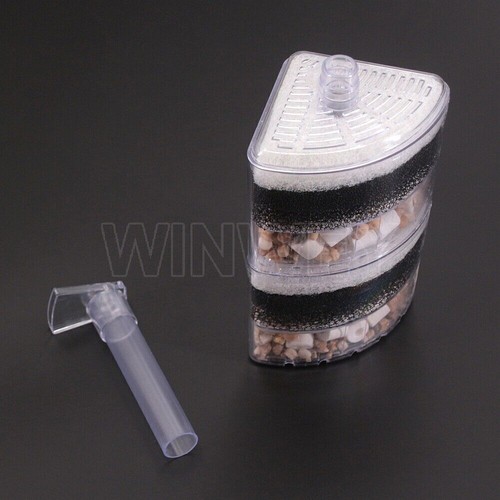 Aquarium fry fish tank - fry,
