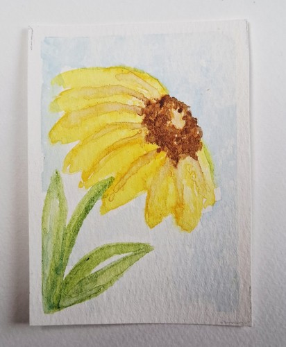 Aceo rudbeckia an - aceo,,