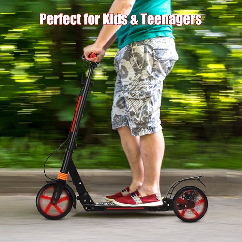 Large wheel foldable - large,