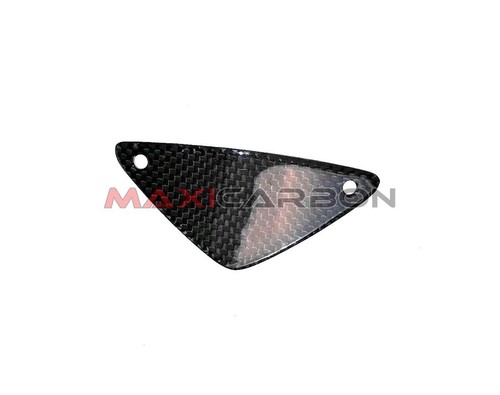 Carbon fiber windshield panel - carbon,