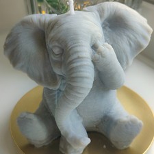 Ellie the Elephant Lady