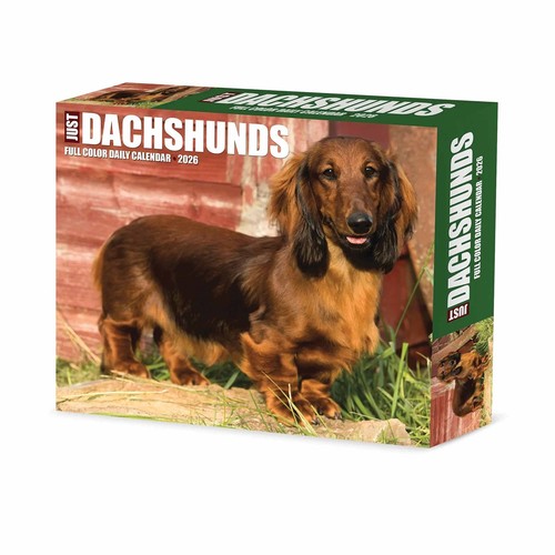 Just dachshunds desk - dachshunds,