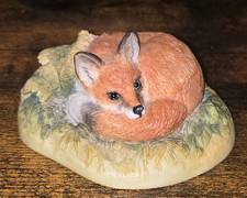 Teviotdale Scotland Fox