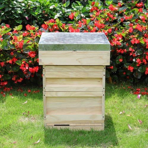 Wooden beehive kit - beehive, for