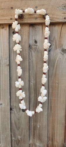 Long cockle shell necklace - shell,