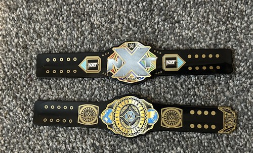 Wwe slap bands nxt - wwe,
