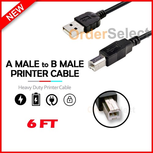 Usb printer cable 6ft - printer, 2.0