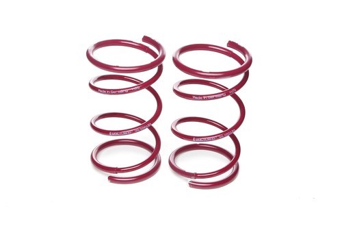 Vogtland lowering springs for - lowering,