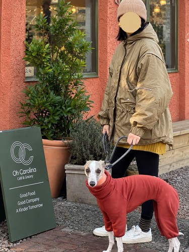 Ymc slope organic - ymc,