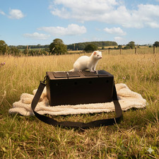Heavy Duty Ferret Box |
