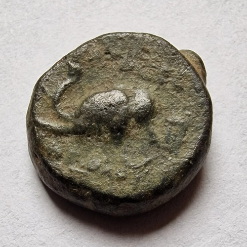 Ancient greek coin seleucid - ancient, coin,