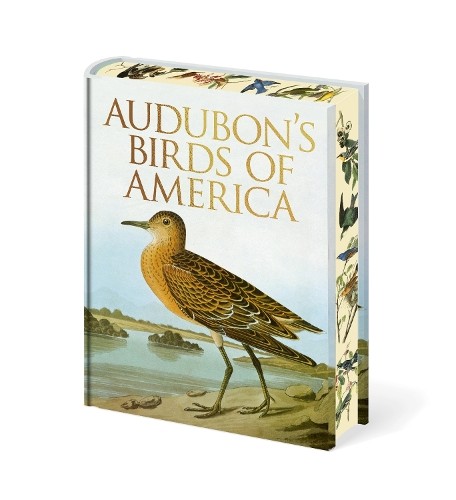 Audubon birds america by - america,