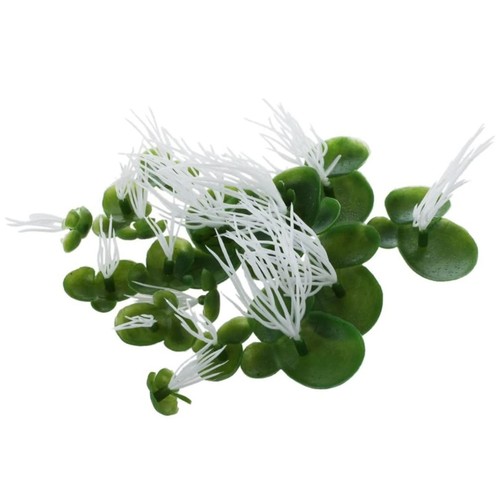 Artificial duckweeds floating - artificial,