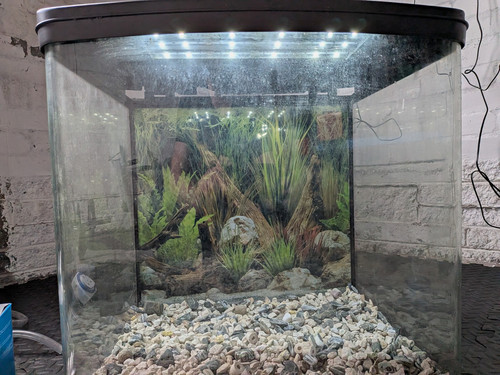 Love fish vantage - love, 94