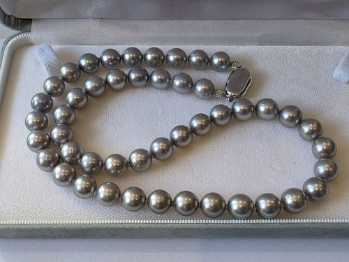 Real grey akoya cultured pearl - cultured,