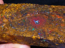 Large Rough/Sliced Koroit Opal Specimen 851.15cts Patterns Some Green Fires NR