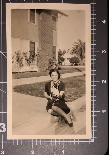 1940 boston terrier dog - 1940's,
