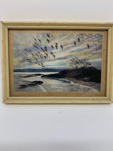 Vintage peter scott print 1939 - peter,