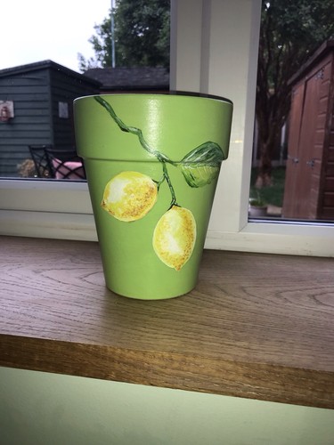 Hand painted terracotta - terracotta, plant
