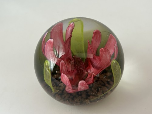 Scotland caithness glass - caithness,