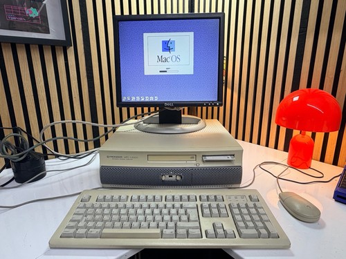 Rare japanese apple - apple, macintosh