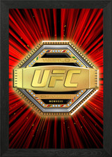 UFC Symbol Framed Wall Art