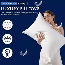 Pack of 2 & 4  Duck Feather