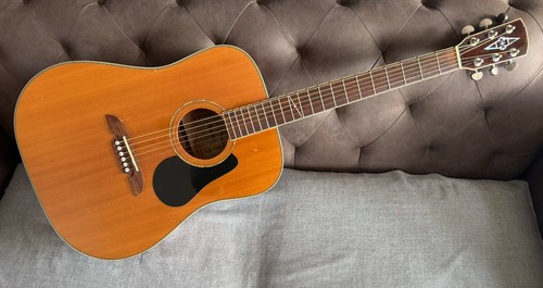 Alvarez nat 6 string - alvarez, ad-50