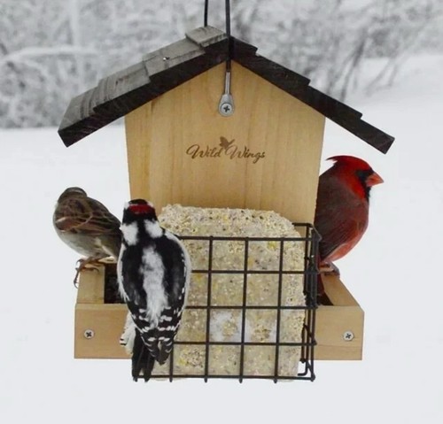 Suet cake bird feeder hopper - feeder,
