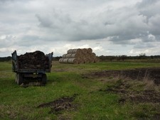 Photo A1 Trailer full of muck