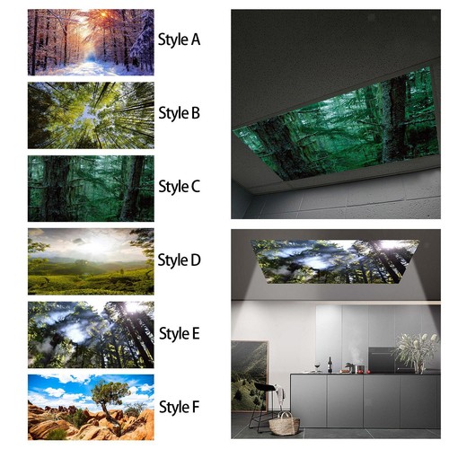 Fluorescent light cover - light,