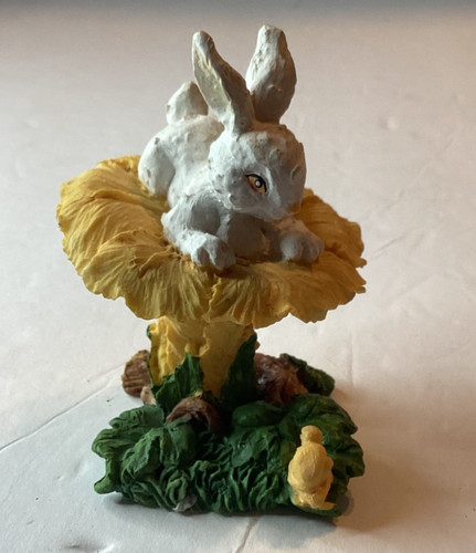 Collection bunny rabbit - k’s,
