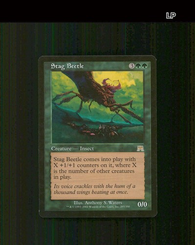 Stag beetle 285 - stag,