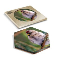 1 x Hexagon Coaster - Redpoll