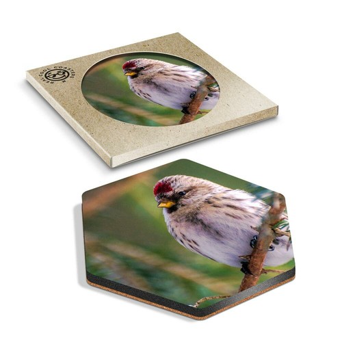 Hexagon coaster redpoll - 1,
