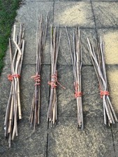 Bamboo Canes x10; Length c.0.8m; Various Diameters