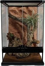 Lucky Reptile Rock Background