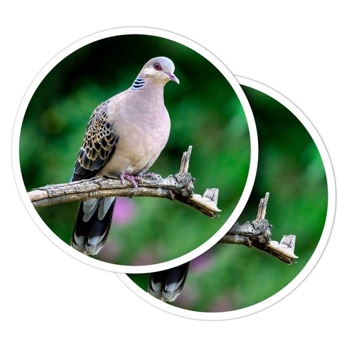 Vinyl stickers pretty - 2x,
