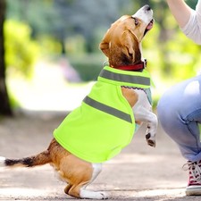 Dog Vest High Visibility