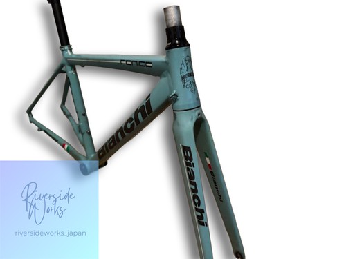 Bianchi fenice elite frame - fenice,