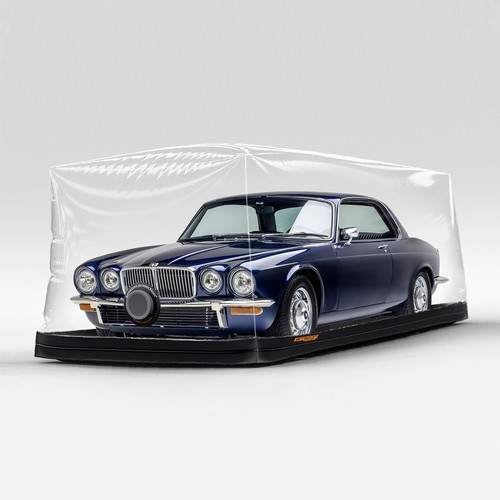 Amazon protection indoor - amazon,
