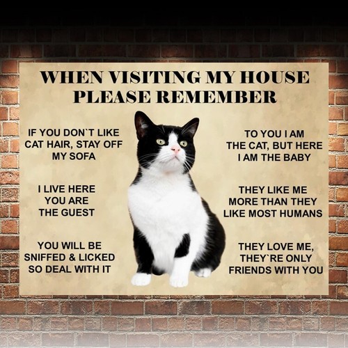 Funny black white cat - black,