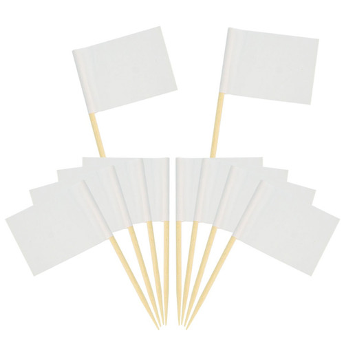 200 pack blank - blank, toothpick